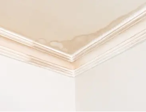 Drywall Repair for Water Damage